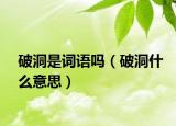破洞是詞語嗎（破洞什么意思）