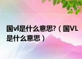 國vl是什么意思?（國VL是什么意思）