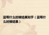 藍莓什么時候結果知乎（藍莓什么時候結果）