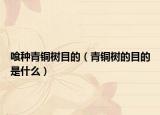 喰種青銅樹(shù)目的（青銅樹(shù)的目的是什么）