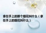拿在手上的那個煙花叫什么（拿在手上的煙花叫什么）