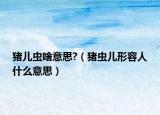 豬兒蟲(chóng)啥意思?（豬蟲(chóng)兒形容人什么意思）