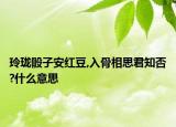 玲瓏骰子安紅豆,入骨相思君知否?什么意思