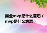 商業(yè)mvp是什么意思（mvp是什么意思）