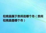 松桃縣屬于貴州省哪個(gè)市（貴州松桃縣是哪個(gè)市）