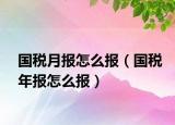 國稅月報(bào)怎么報(bào)（國稅年報(bào)怎么報(bào)）