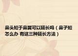 鼻頭短于鼻翼可以延長嗎（鼻子短怎么辦 有這三種延長方法）