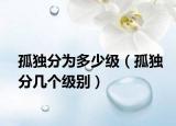 孤獨分為多少級（孤獨分幾個級別）