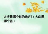 大慶是哪個省的地方?（大慶是哪個省）