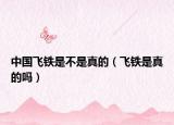 中國(guó)飛鐵是不是真的（飛鐵是真的嗎）