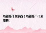 項圈是什么東西（項圈是干什么用的）