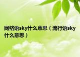 網(wǎng)絡(luò)語(yǔ)sky什么意思（流行語(yǔ)sky什么意思）