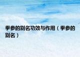 拳參的別名功效與作用（拳參的別名）