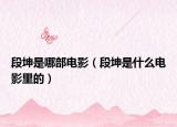 段坤是哪部電影（段坤是什么電影里的）