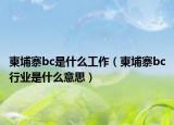 柬埔寨bc是什么工作（柬埔寨bc行業(yè)是什么意思）
