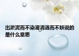 出淤泥而不染濯清漣而不妖說的是什么意思