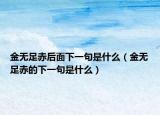 金無足赤后面下一句是什么（金無足赤的下一句是什么）