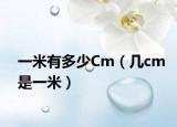 一米有多少Cm（幾cm是一米）