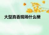 大型真香現(xiàn)場什么梗