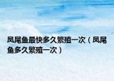鳳尾魚最快多久繁殖一次（鳳尾魚多久繁殖一次）