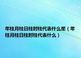 年柱月柱日柱時(shí)柱代表什么星（年柱月柱日柱時(shí)柱代表什么）
