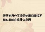 茫茫歲月分不清何處是歸期恨不知心底的在意什么意思