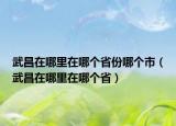 武昌在哪里在哪個(gè)省份哪個(gè)市（武昌在哪里在哪個(gè)?。? /></span></a>
                        <h2><a href=