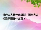 撫臺大人是什么級別（撫臺大人相當(dāng)于現(xiàn)在什么官）