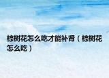 棕樹(shù)花怎么吃才能補(bǔ)腎（棕樹(shù)花怎么吃）