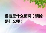 鋼槍是什么梗啊（鋼槍是什么梗）