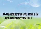 陜d是哪里的車牌號碼 在哪個(gè)區(qū)（陜d牌照是哪個(gè)地方的）