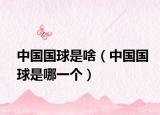 中國國球是啥（中國國球是哪一個）