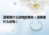 溫蒂是什么動(dòng)物的角色（溫蒂是什么動(dòng)物）