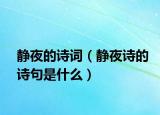 靜夜的詩(shī)詞（靜夜詩(shī)的詩(shī)句是什么）