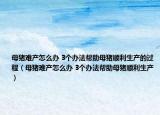 母豬難產(chǎn)怎么辦 3個(gè)辦法幫助母豬順利生產(chǎn)的過程（母豬難產(chǎn)怎么辦 3個(gè)辦法幫助母豬順利生產(chǎn)）