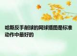 哈斯反手削球的網(wǎng)球插圖是標(biāo)準(zhǔn)動(dòng)作中最好的