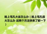 臉上毛孔大該怎么辦（臉上毛孔很大怎么辦 這兩個(gè)方法快來(lái)了解一下）