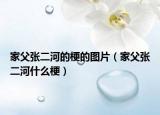 家父張二河的梗的圖片（家父張二河什么梗）