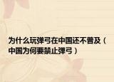 為什么玩彈弓在中國還不普及（中國為何要禁止彈弓）