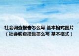 社會調查報告怎么寫 基本格式圖片（社會調查報告怎么寫 基本格式）