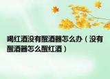 喝紅酒沒有醒酒器怎么辦（沒有醒酒器怎么醒紅酒）