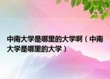 中南大學是哪里的大學?。ㄖ心洗髮W是哪里的大學）