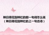 映日荷花別樣紅的前一句詩怎么說（映日荷花別樣紅的上一句古詩）