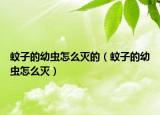 蚊子的幼蟲(chóng)怎么滅的（蚊子的幼蟲(chóng)怎么滅）