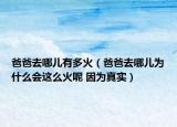 爸爸去哪兒有多火（爸爸去哪兒為什么會(huì)這么火呢 因?yàn)檎鎸?shí)）