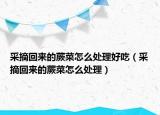 采摘回來(lái)的蕨菜怎么處理好吃（采摘回來(lái)的蕨菜怎么處理）