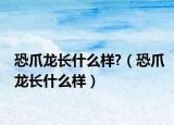 恐爪龍長(zhǎng)什么樣?（恐爪龍長(zhǎng)什么樣）