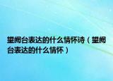 望闕臺表達的什么情懷詩（望闕臺表達的什么情懷）
