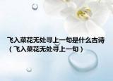 飛入菜花無處尋上一句是什么古詩（飛入菜花無處尋上一句）