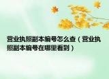 營(yíng)業(yè)執(zhí)照副本編號(hào)怎么查（營(yíng)業(yè)執(zhí)照副本編號(hào)在哪里看到）